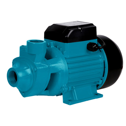 Giantz Electric Clean 3300L/H 240V Water Pump
